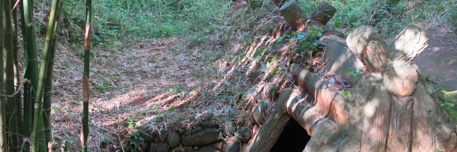 Most Popular Private Tours