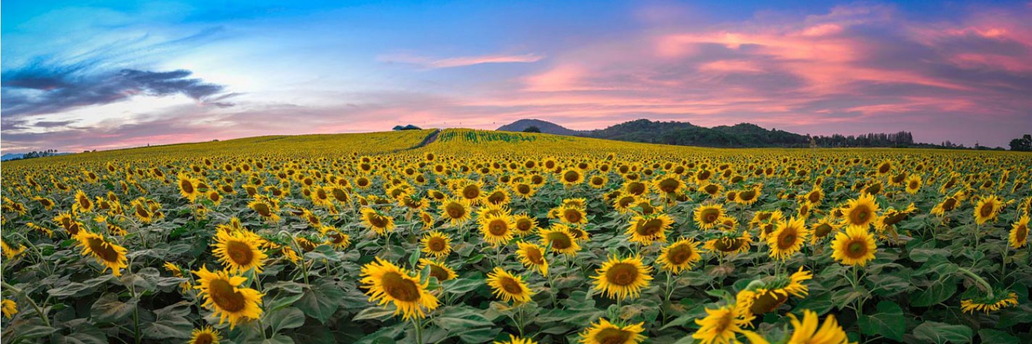 Destinations in Nghe An