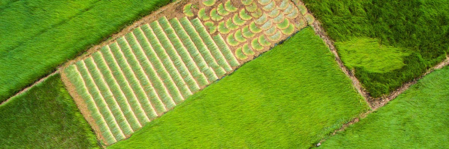 Destinations in Tra Vinh