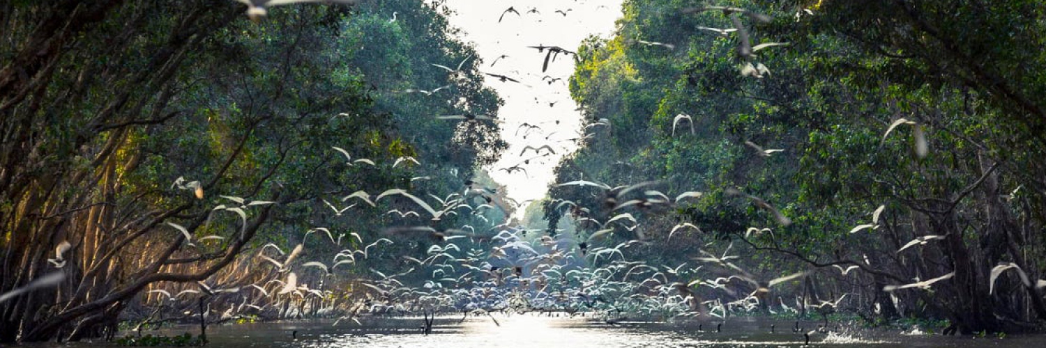 Destinations in Mekong Delta