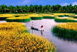 Mekong Delta Deserves To Be The Most Beautiful Nature Destination In Vietnam