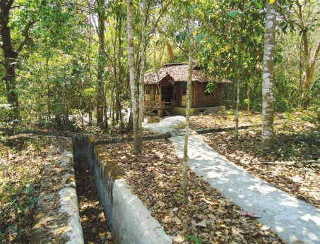 Cu Chi Tunnels Travel Experience – How To Go From Ho Chi Minh City