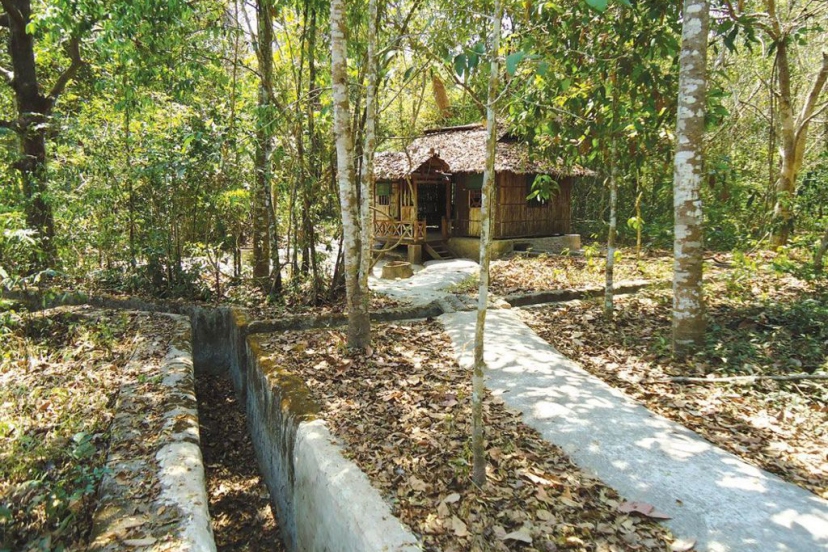 Cu Chi Tunnels Travel Experience – How To Go From Ho Chi Minh City