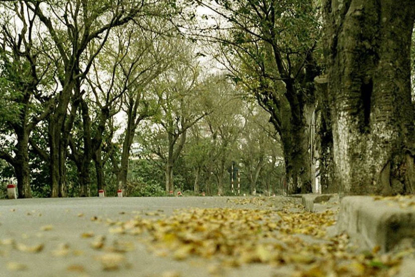 Symbolic Destinations Of Ho Chi Minh City You Should Not Ignore